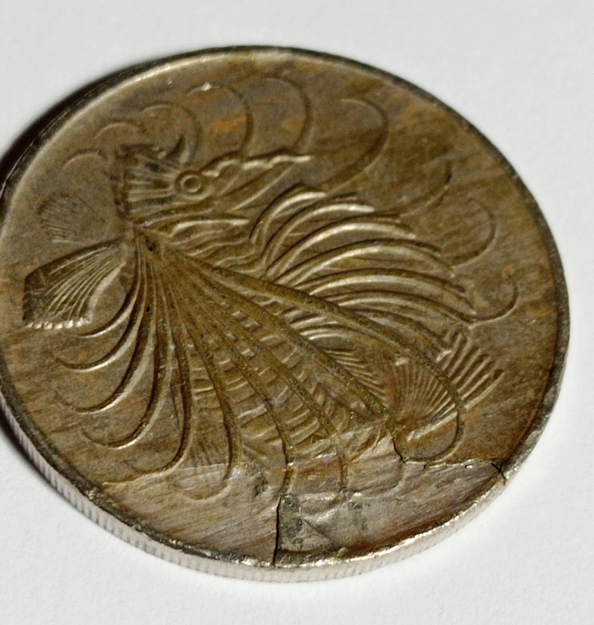 Die-Break-Error-On-1974-Singapore-50�-?